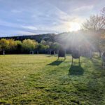 Frühjahrsputz auf dem Bogenplatz